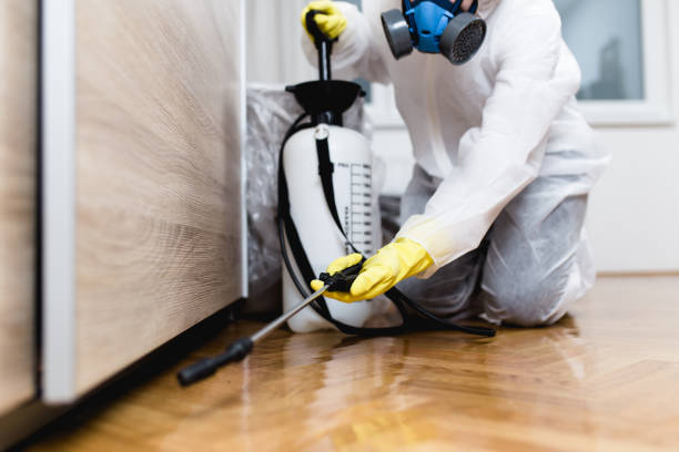 Best Wildlife Control Services  in Round Lake, IL