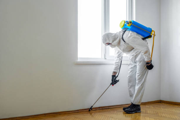 Best Bed Bug Extermination  in Round Lake, IL