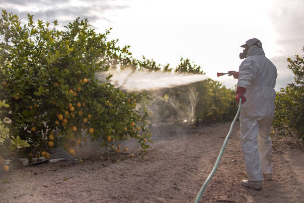 Best Bed Bug Extermination  in Round Lake, IL