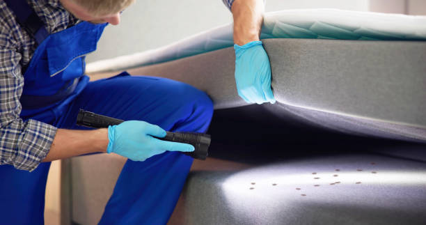 Best Pest Control Cost  in Round Lake, IL