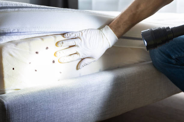 Best Wildlife Control Services  in Round Lake, IL