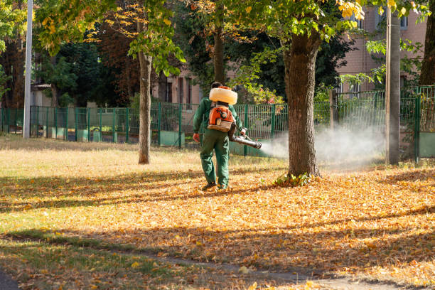 Best Cockroach Control Services  in Round Lake, IL