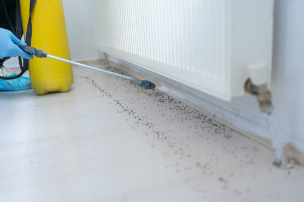 Best Pest Prevention Services  in Round Lake, IL