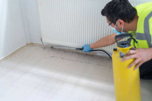 Reliable Round Lake, IL Pest Control Solutions